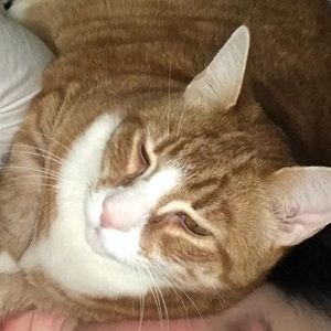 Meet your Posher, Kellie